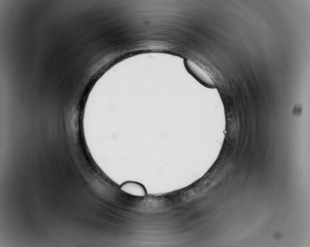 X0000103420350200810241040