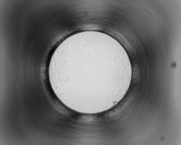 X0000103420351200810241040