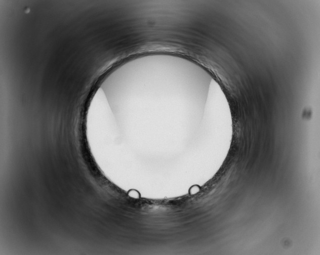 X0000103420352200810241040