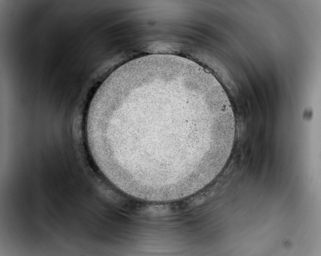 X0000103420353200810241040