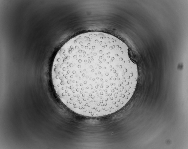 X0000103420354200810241040