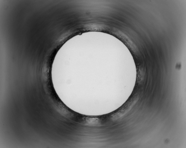 X0000103420355200810241040
