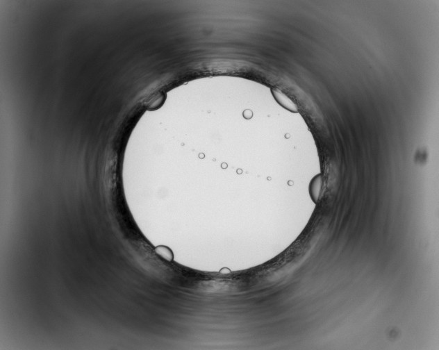 X0000103420356200810241040