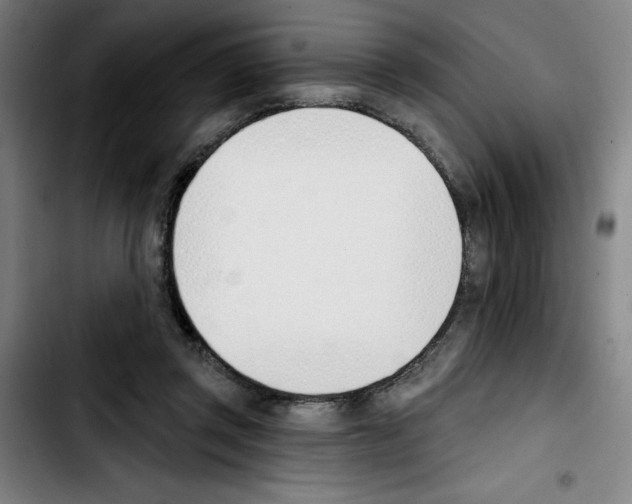 X0000103420357200810241040