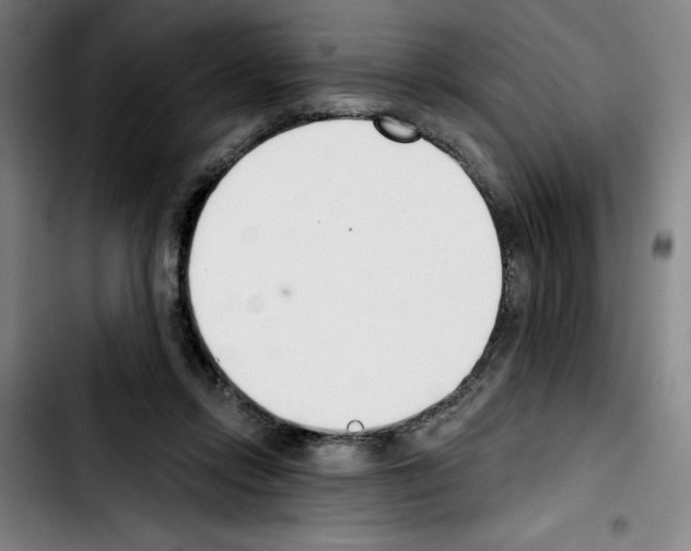 X0000103420358200810241040