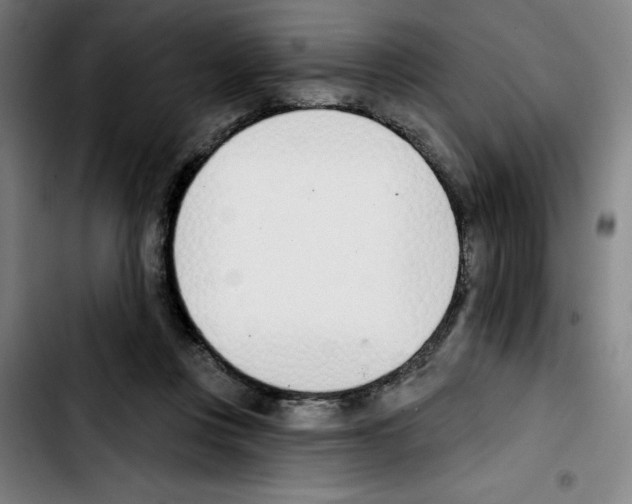 X0000103420359200810241040