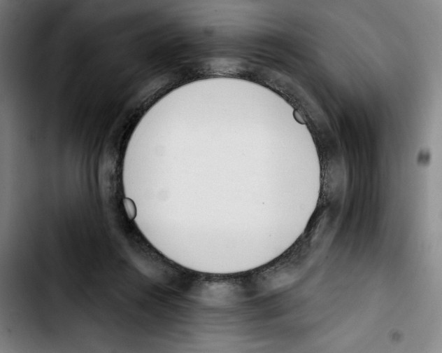 X0000103420360200810241040