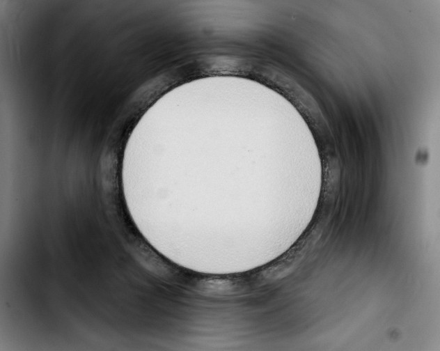 X0000103420361200810241040