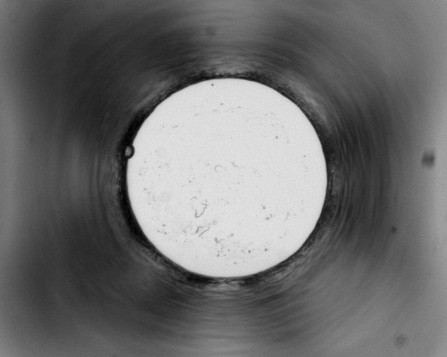 X0000103420362200810241040
