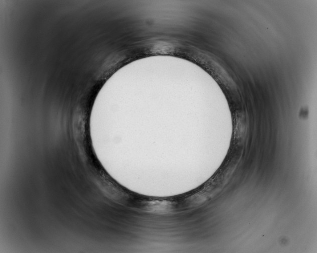 X0000103420363200810241040