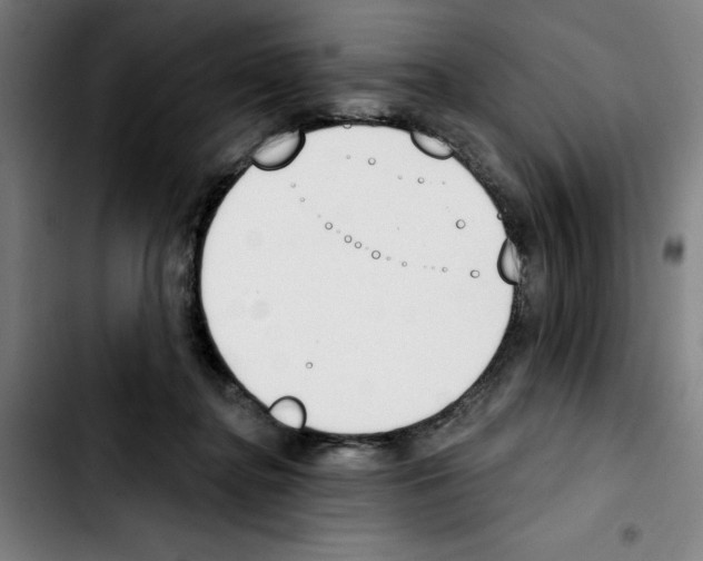 X0000103420364200810241040