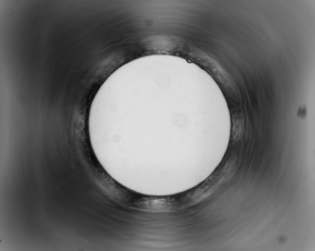 X0000103420365200810241040