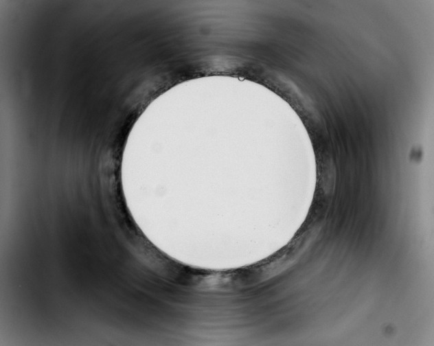 X0000103420366200810241040