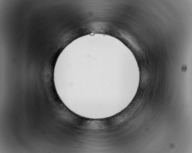 X0000103420367200810241040