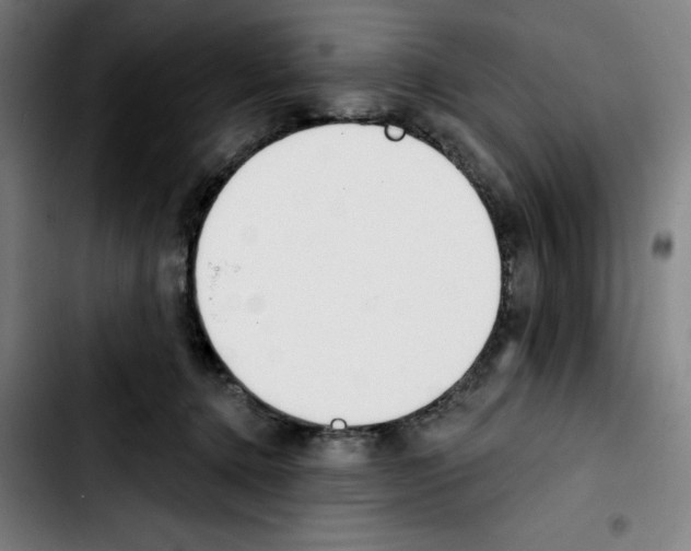 X0000103420368200810241040