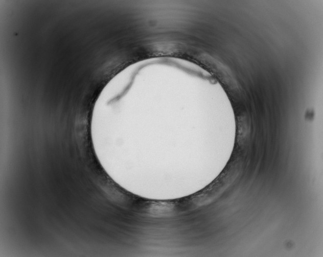 X0000103420369200810241040