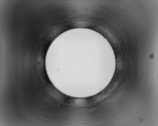 X0000103420371200810241040