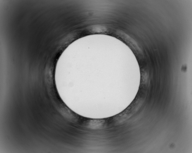 X0000103420373200810241040