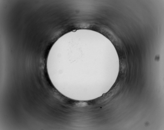 X0000103420374200810241040
