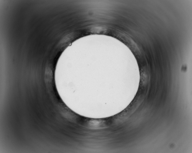 X0000103420375200810241040