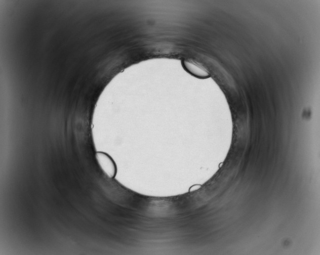 X0000103420376200810241040