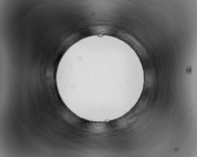 X0000103420377200810241040