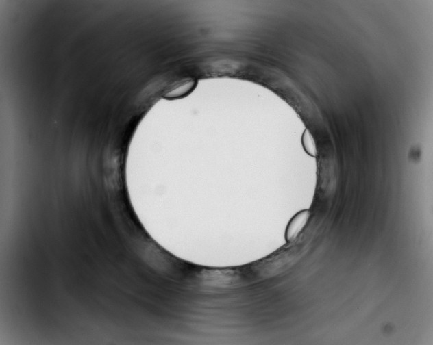 X0000103420378200810241040