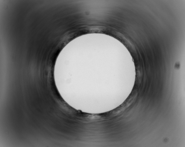 X0000103420379200810241040