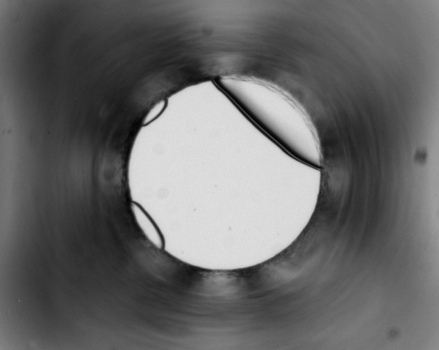 X0000103420380200810241040