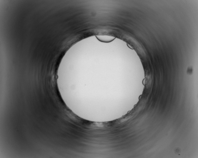 X0000103420381200810241040