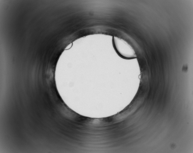 X0000103420382200810241040