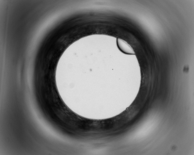 X0000103420383200810241040