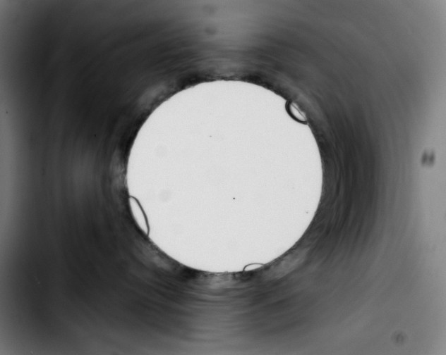X0000103420384200810241040