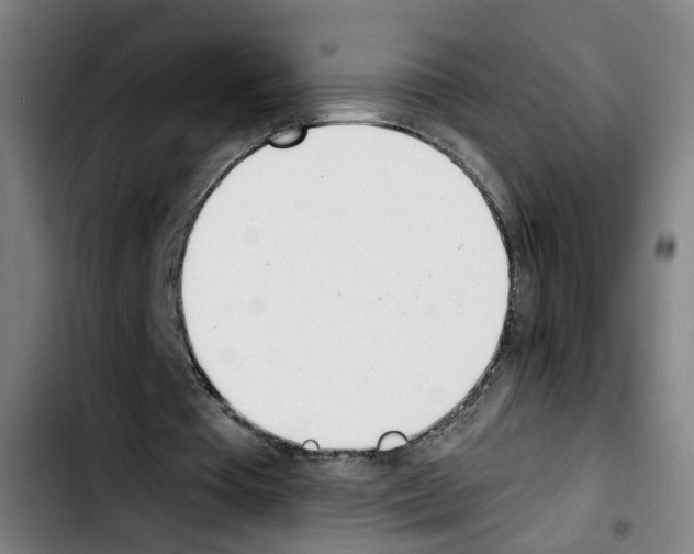 X0000103420385200810241039
