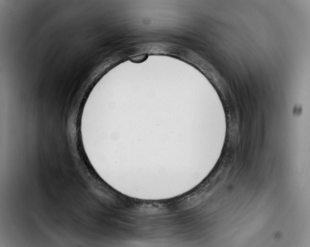 X0000103420386200810241039