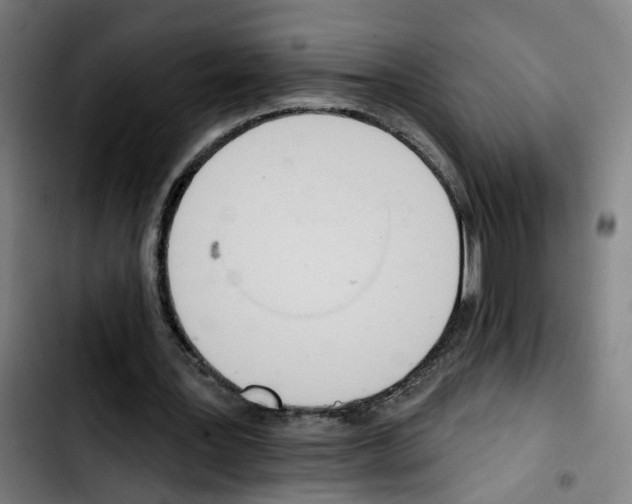 X0000103420387200810241039