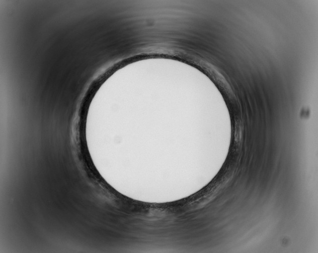 X0000103420388200810241039