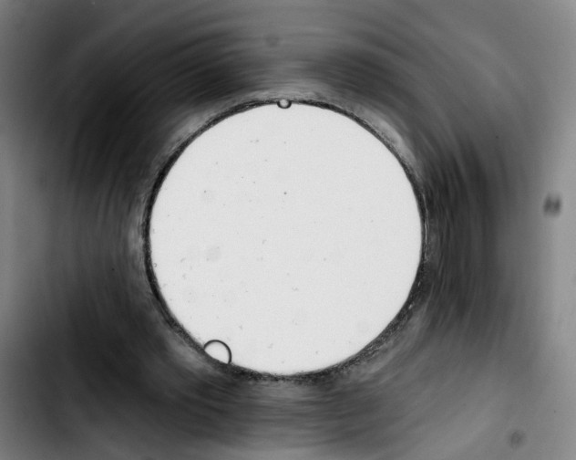 X0000103420389200810241039
