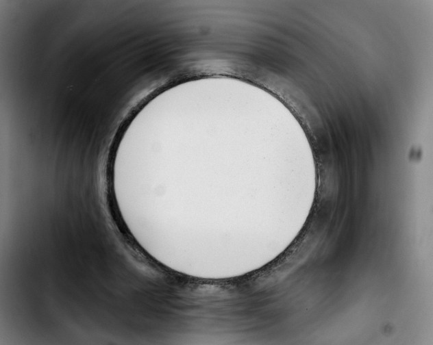 X0000103420390200810241039
