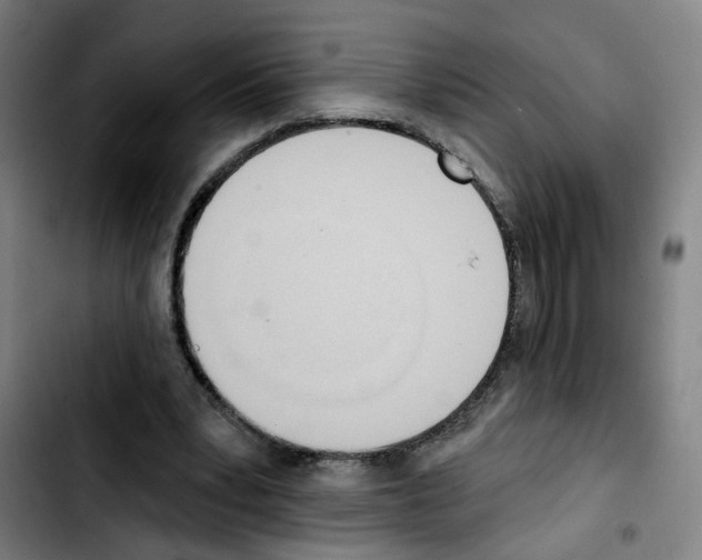 X0000103420391200810241039
