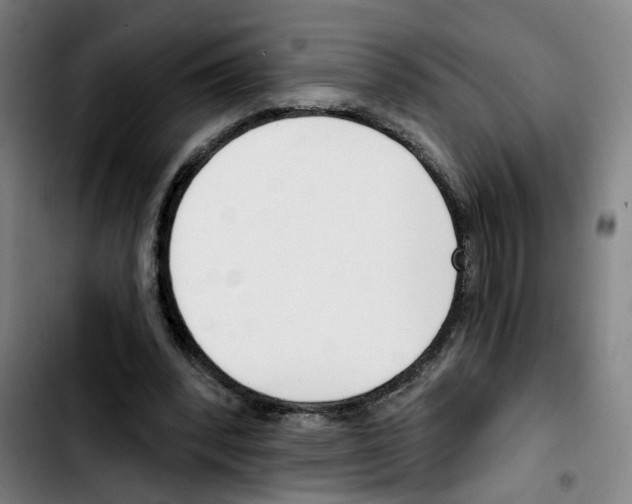 X0000103420392200810241039