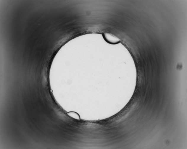 X0000103420393200810241039