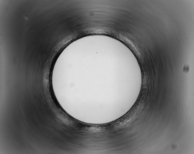 X0000103420394200810241039