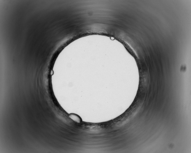 X0000103420395200810241039