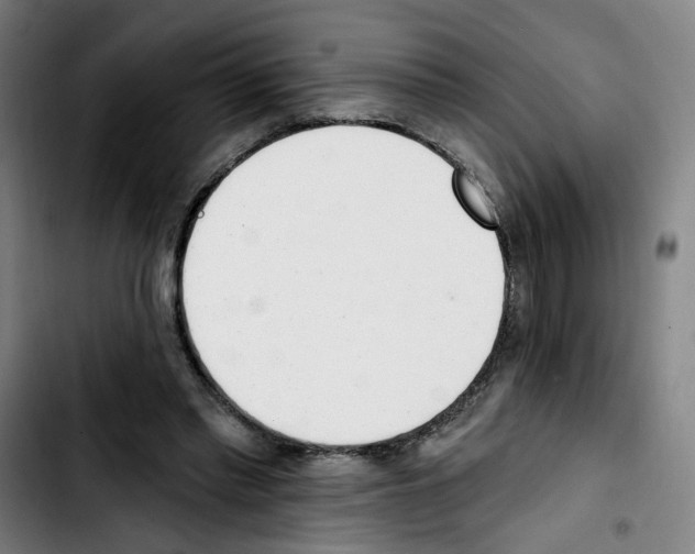 X0000103420397200810241039