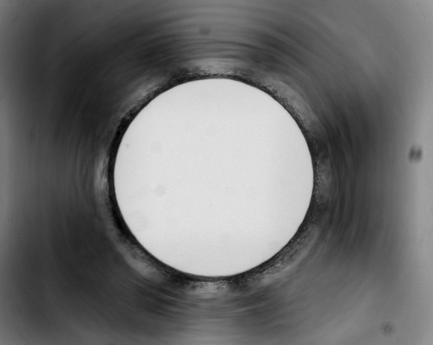 X0000103420398200810241039