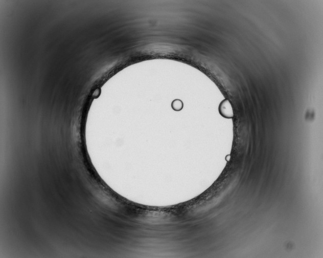 X0000103420399200810241039