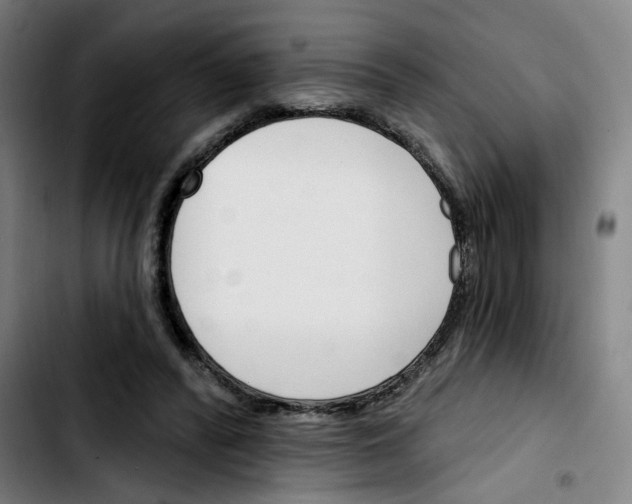 X0000103420400200810241039