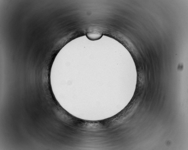 X0000103420401200810241039