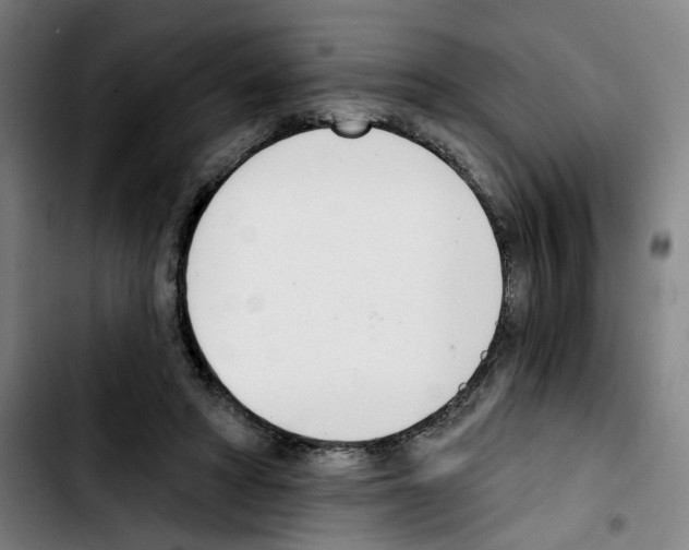 X0000103420402200810241039